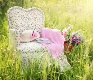chair-in-field-785232_1280.jpg
